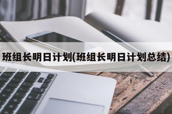 班组长明日计划(班组长明日计划总结)